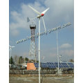 600w Wind Farm Windmill Generator CE Authorized